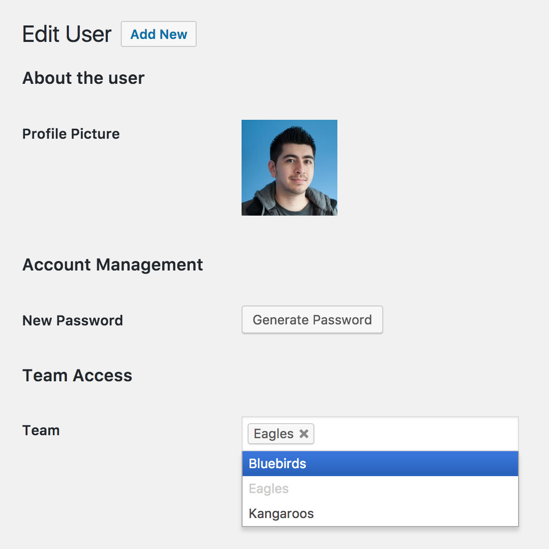 Team access settings