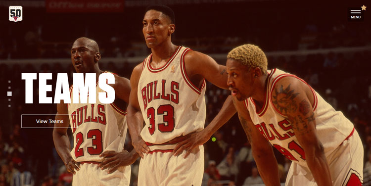 Chicago Bulls famous teams athletes using WordPress