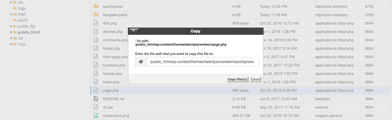 The Copy pop-up in cPanel's File Manager.