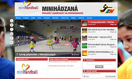 Mini Handball Project