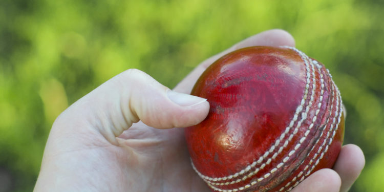 Finally, a Free WordPress Plugin for Cricket Clubs!